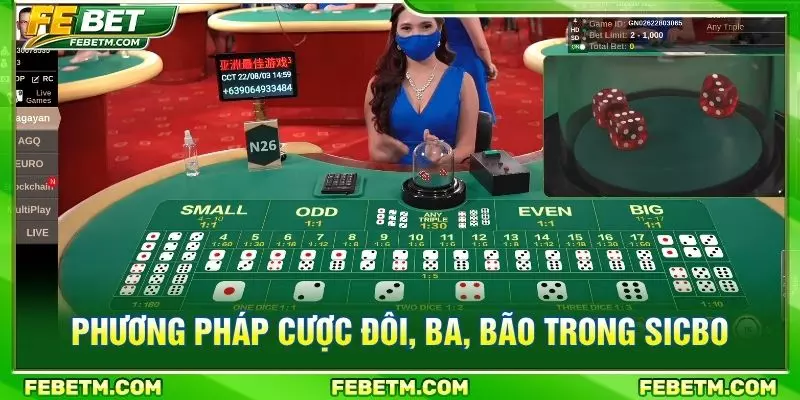 Phương pháp cược đôi, ba, bão trong sicbo
