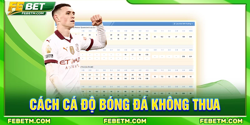 cách cá độ bóng đá không thua