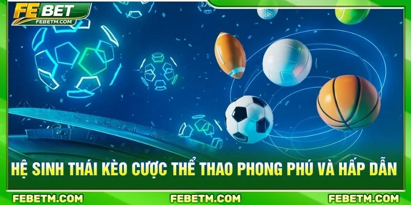 Hệ sinh thái kèo cược thể thao phong phú và hấp dẫn