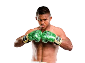 muay thai