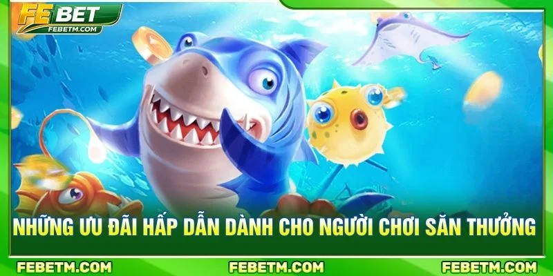 Những ưu đãi hấp dẫn dành cho người chơi săn thưởng