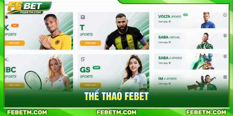 Sảnh thể thao FEBET với nhiều trò chơi và kèo cược hấp dẫn